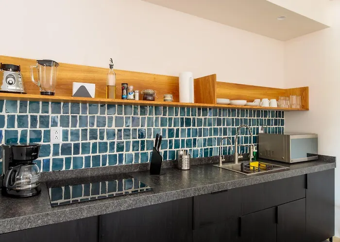 Owa Wellness Center Apartment