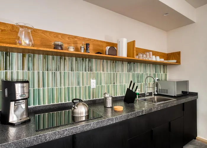 Owa Wellness Center Apartment *