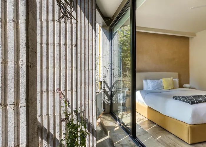 Owa Wellness Center Mexico City